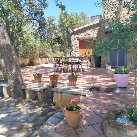 Casa Rural Vinas Perdidas Béjar Buitenkant foto