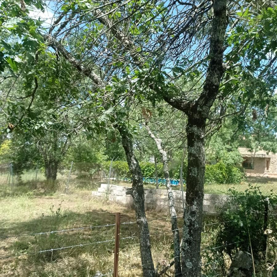 Casa Rural Vinas Perdidas Béjar Buitenkant foto