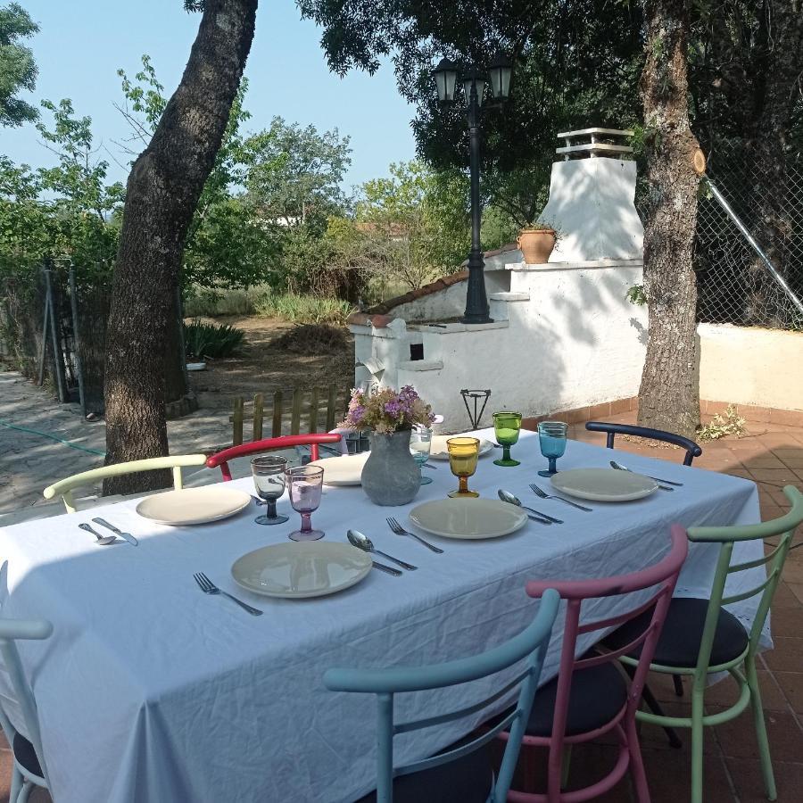 Casa Rural Vinas Perdidas Béjar Buitenkant foto
