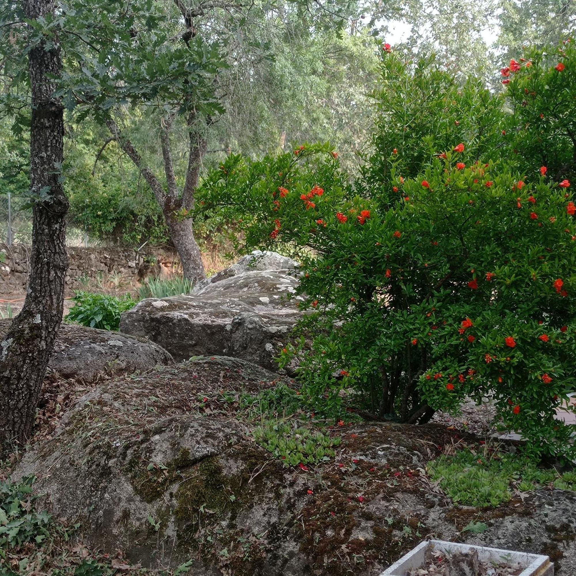 Casa Rural Vinas Perdidas Béjar Buitenkant foto
